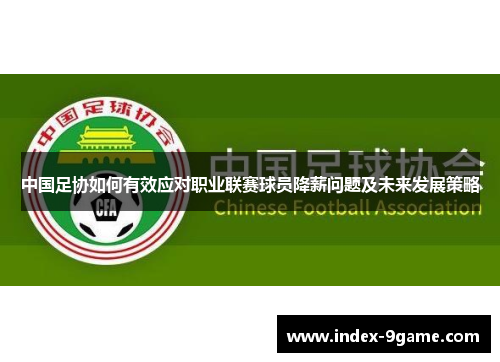中国足协如何有效应对职业联赛球员降薪问题及未来发展策略