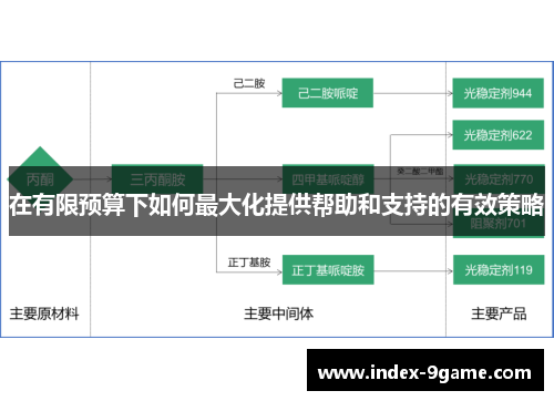 在有限预算下如何最大化提供帮助和支持的有效策略