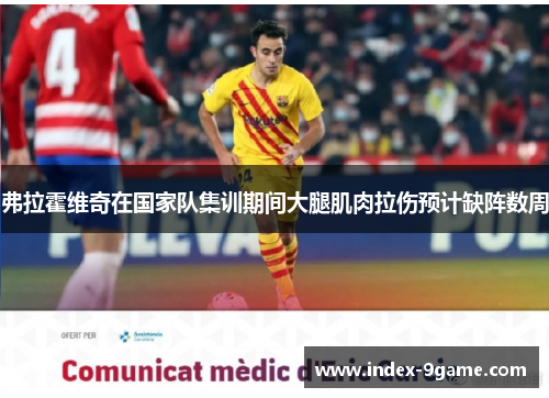 弗拉霍维奇在国家队集训期间大腿肌肉拉伤预计缺阵数周