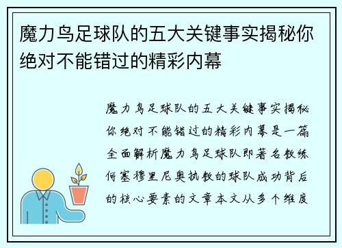 魔力鸟足球队的五大关键事实揭秘你绝对不能错过的精彩内幕